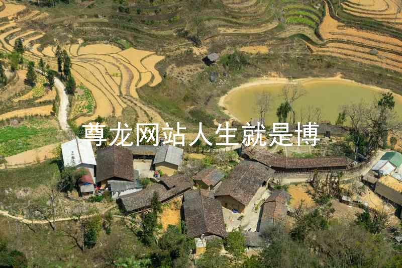 尊龙网站人生就是博
