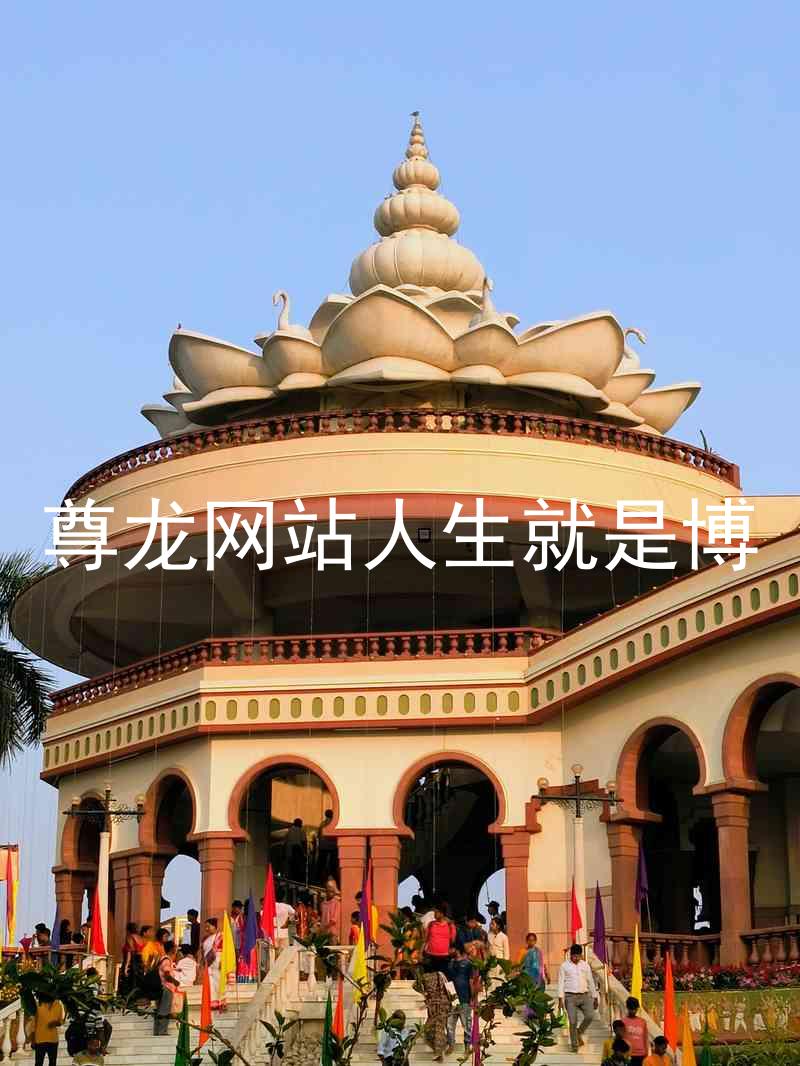 尊龙网站人生就是博