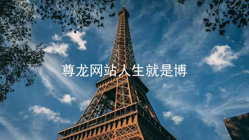 尊龙网站人生就是博