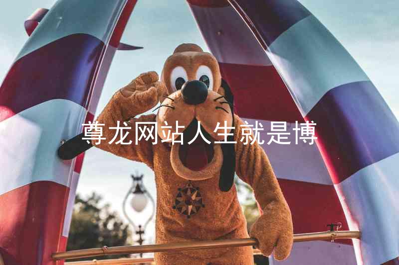 尊龙网站人生就是博
